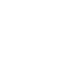 Freelancer